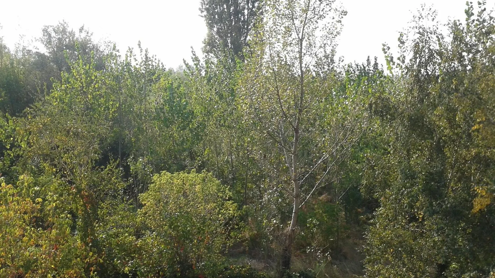 Bed Breakfast Hotel בודפשט 2*,  הונגריה