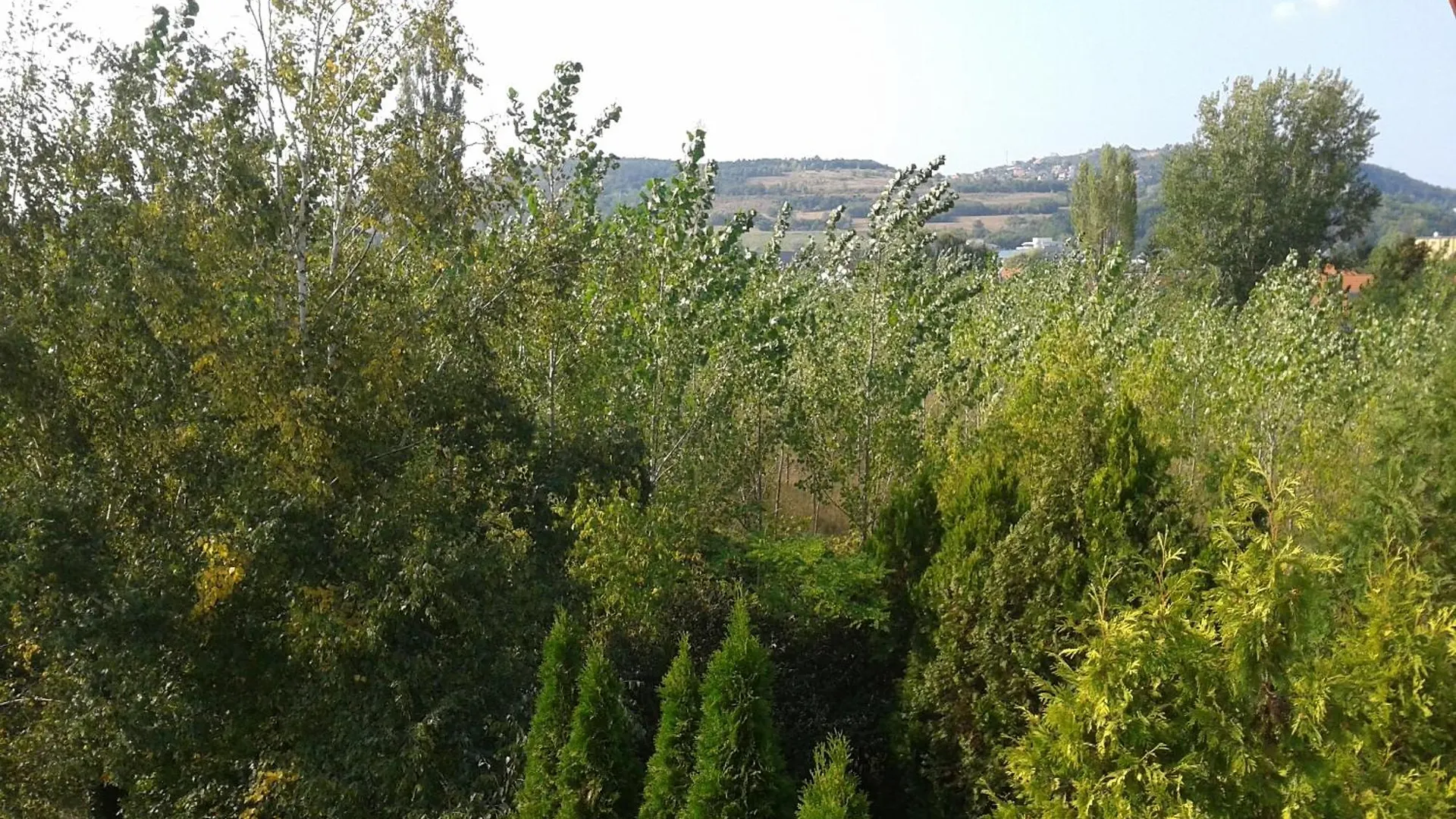 **  Bed Breakfast Hotel Budapest Ungarn